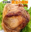 【ふるさと納税】 黄金の 焼豚 肩 ロース 肉 1本 約1.2kg 千葉県 南房総市 チャーシュー 豚肉 里見和豚 ブランド豚 国産 甘い 脂 贅沢 丸ごと 低温 おつまみ おかず ラーメン お取り寄せ 冷凍 送料無料