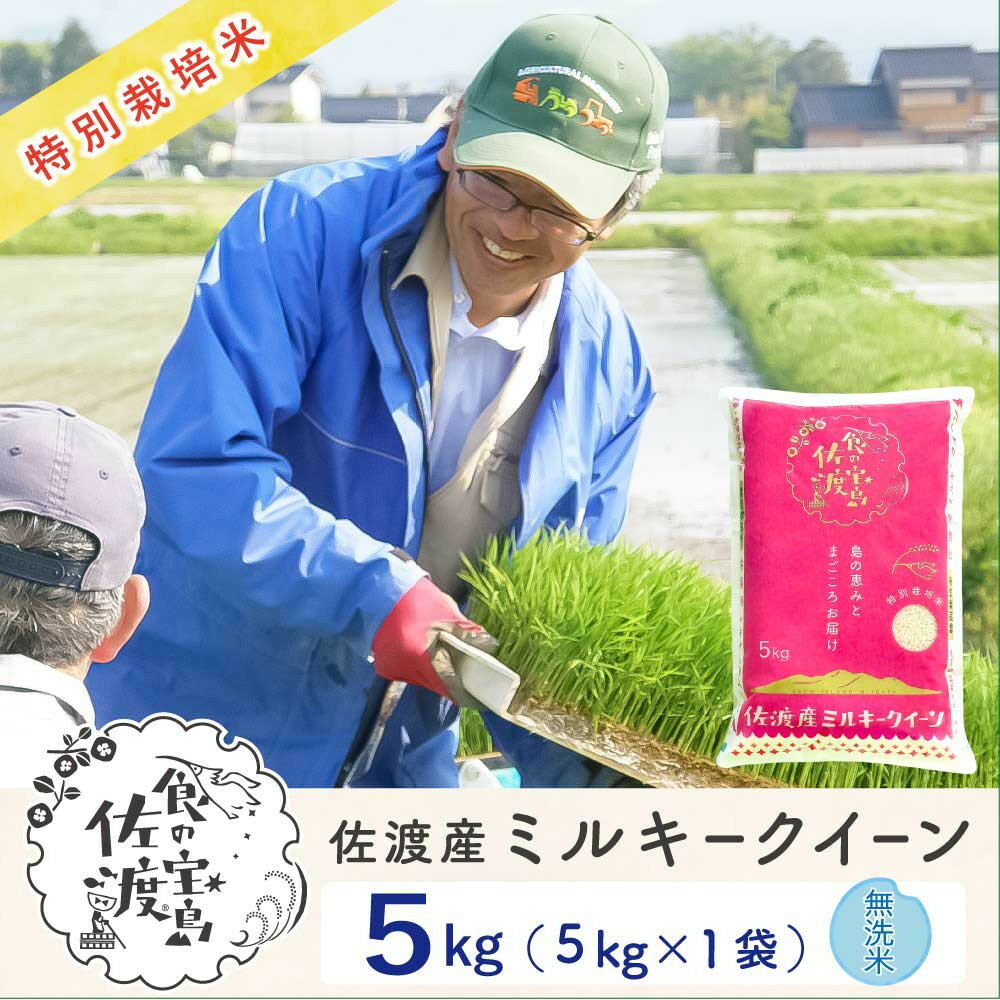 【ふるさと納税】佐渡島産ミルキークイーン 無洗米5kg 令和7年産 特別栽培米 | お米 こめ 白米 食品 人気 おすすめ 送料無料