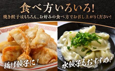 【美ら島あぐ～】餃子（80個入り／4パック×20個入り）