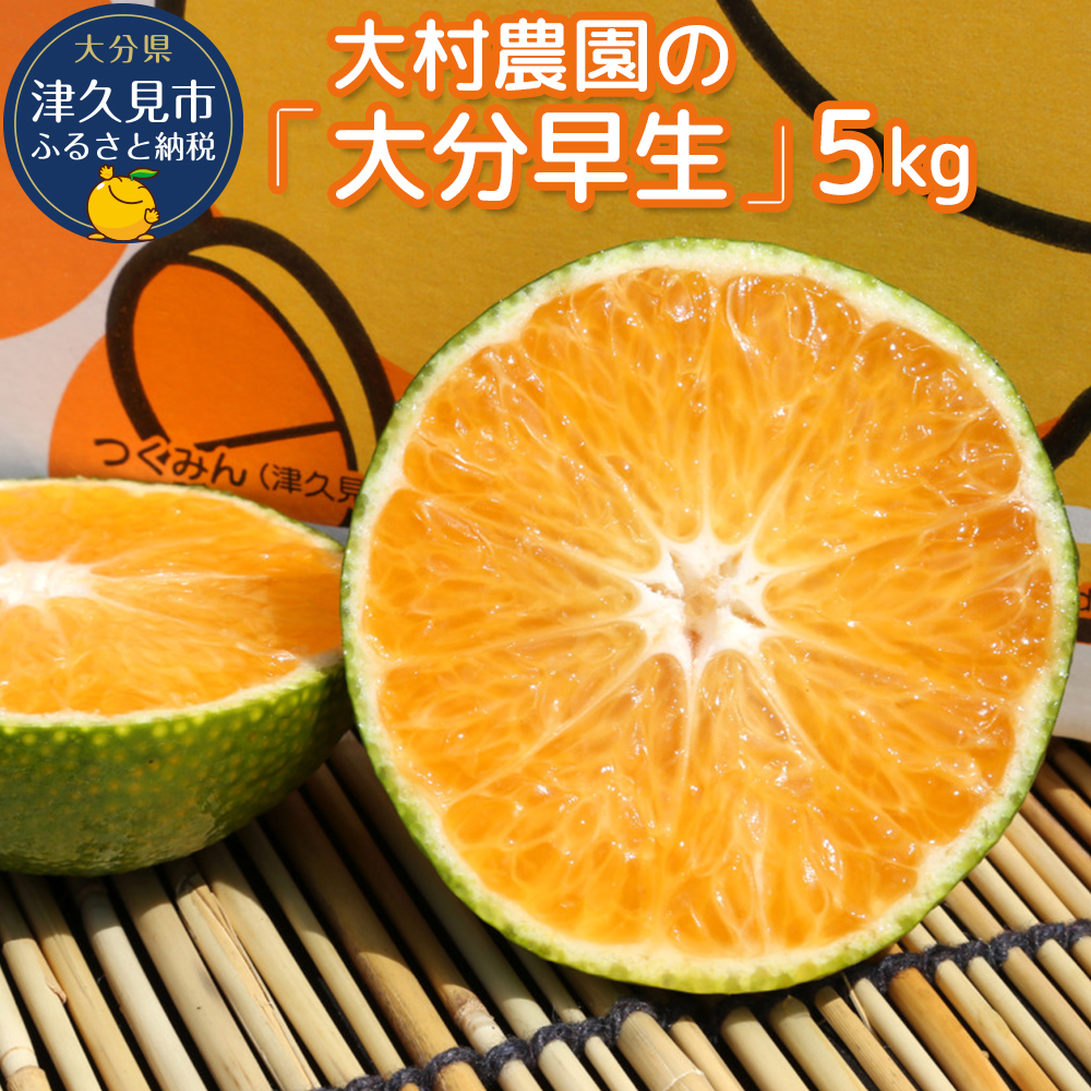 大村農園の極早生みかん おおいた早生 5kg おおいた早生 みかん ミカン オレンジ 柑橘類 果物 フルーツ 大分県産 九州産 津久見市 国産