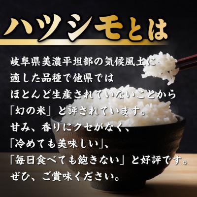 ふるさと納税 羽島市 【2ヵ月毎定期便】岐阜県産ハツシモ　10kg(精米5kg×2袋)全6回 |  | 01