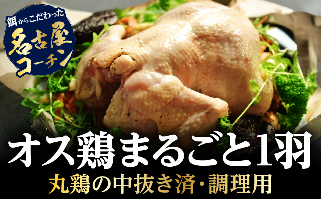 名古屋コーチン丹波ささやま地鶏1羽丸鶏中抜き 「クリスマス ローストチキン　参鶏湯　ダッジオーブンで丸焼き　などに！」