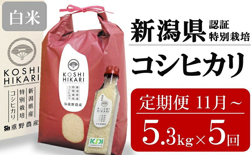 【ふるさと納税】新米先行予約【5ヶ月定期便・11月～発送】コシヒカリ 白米 5kg（ペットボトル米 300g 1本付き）×5回 （計 26.5kg）重ちゃんのお米 令和7年産 [Y0076]【 新潟県 柏崎市 】