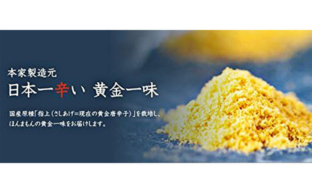 黄金一味 祇園味幸 詰め替え 9g 5袋 黄金一味