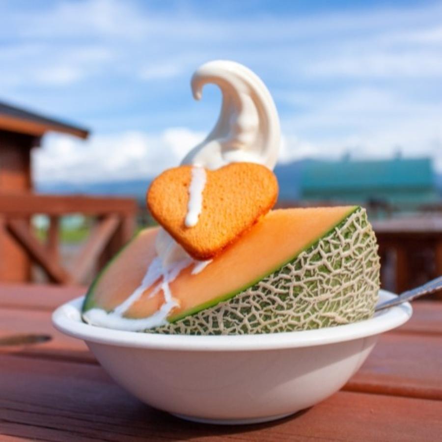 ＜長洲農園＞品質優良賞受賞 茨城県産 クインシーメロン 特秀 贈答規格 1玉