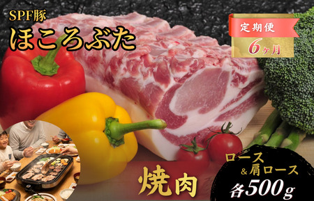 【6ヶ月定期便】千葉県産 下山農場 SPF豚 「 ほころぶた 」（ 焼き肉用 ） ／ SPF豚 豚肉 ほころぶた 焼き肉 焼肉 ロース 肩ロース 定期便