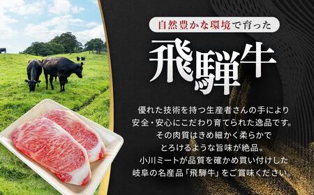 飛騨牛 A5 サーロイン ステーキ用 600ｇ（300g×2枚）（200g×2枚）｜国産 肉 牛肉 焼肉 ステーキ 和牛 黒毛和牛  A5等 級 グルメ おすすめ AD108【飛騨牛 和牛ブランド 飛