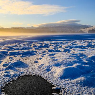 ふるさと納税 十日町市 【毎月定期便】【中里地域限定!魚沼産 新之助】10kg(5kg×2袋)×12 合計120kg全12回 |  | 02