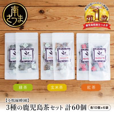 ふるさと納税 南さつま市 3種の鹿児島茶セット[緑茶・玄米茶・紅茶] 計60個(各10個×6袋) ティーバッグタイプ