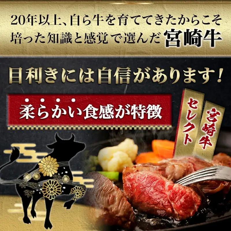 宮崎牛【赤身霜降り】ロースステーキ200g〔13-6501〕_(都城市) 牛肉 牛ロースステーキ用カット 200g×1枚 ステーキソース付き 牛赤身 霜降り肉 A4ランク以上 4等級以上 ギフト 贈答