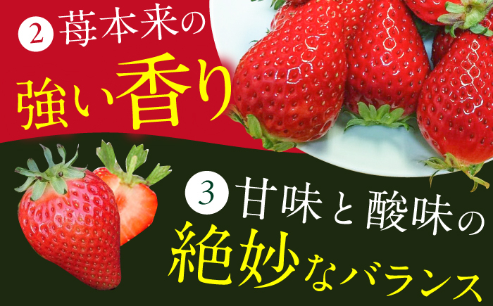 いちご イチゴ 苺 果物 フルーツ