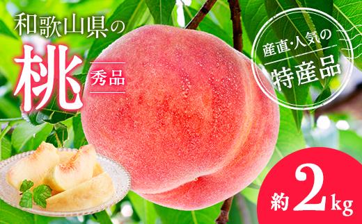 【産直・人気の特産品】和歌山の桃　約2kg・秀品◇ ｜ モモ 国産 フルーツ お取り寄せ ギフト