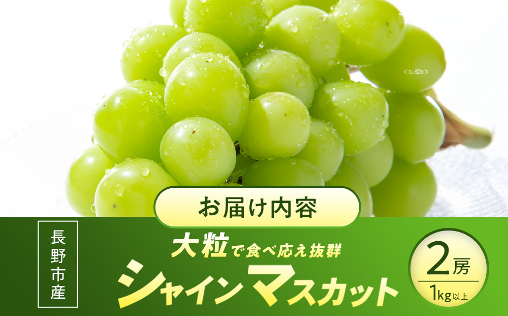 【大粒2房】長野市産シャインマスカット約1kg 以上【2026年9月中旬以降出荷分】(さらしな青果) |  ぶどう シャインマスカット 大粒 ダントツ人気 人気 おすすめ 葡萄 ブドウ フルーツ 果物