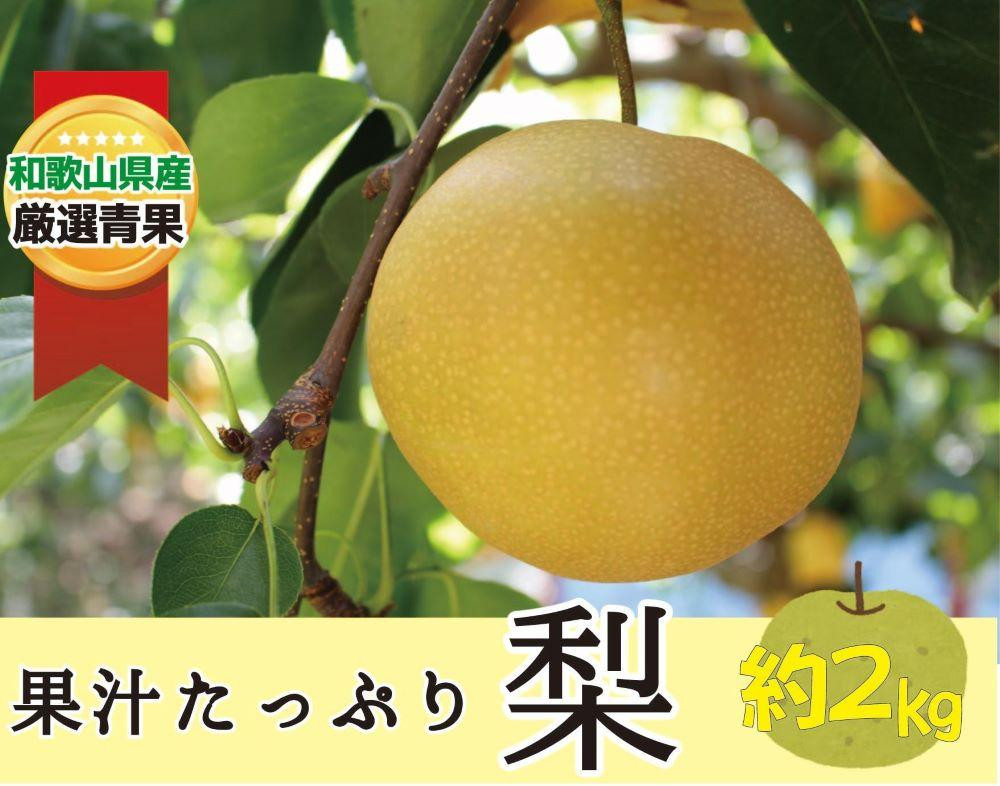 
果汁滴る絶品の梨(約２Kg）【2025年8月中旬～2025年9月上旬頃順次発送】
