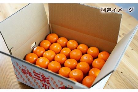 【数量限定】盛田みかん Sサイズ 約5kg（50-60個前後）ー2025年12月より発送ー 長与町/山口農園 [EBI001] 盛田 もりた みかん 温州みかん みかん 長崎みかん 長与みかん