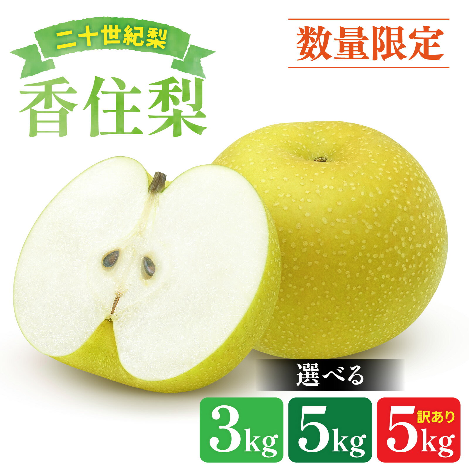【ふるさと納税】【 数量限定 】 兵庫県産 香住梨 二十世紀 【選べる】3kg / 5kg / 訳あり5kg【 梨 なし ナシ 二十世紀梨 フルーツ 果物 訳アリ 産地直送 みずみずしい 送料無料 期間限定 数量限定 香美町 】