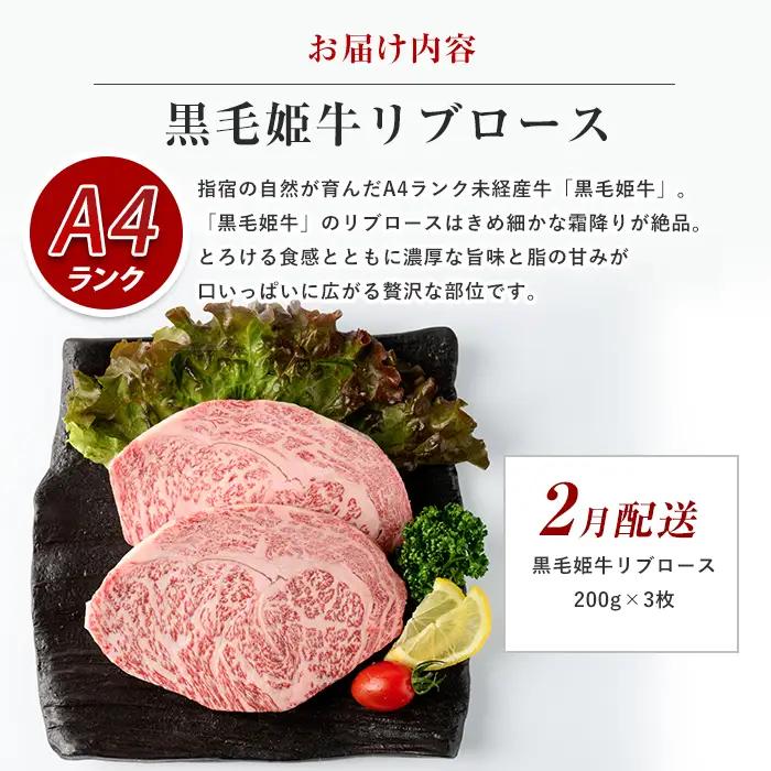 全5回定期便 大満足 ステーキ三昧 定期便 Meat you IBZ029-001 牛肉