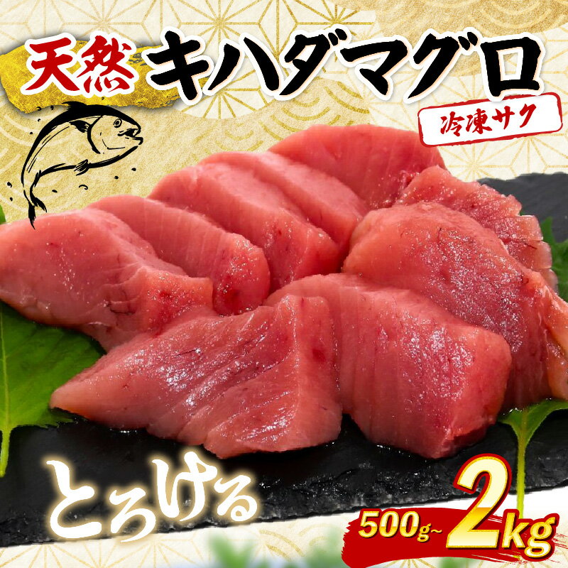 【ふるさと納税】 天然 キハダマグロ 500g ～ 2kg 赤身 マグロ まぐろ 鮪 刺身用 柵 海鮮 魚介 魚 海鮮丼 手巻き寿司 寿司 高知県 室戸市