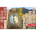 【ふるさと納税】【新米予約・令和6年産】定期便12ヶ月：玄米5Kg 生産者限定 南魚沼しおざわ産コシヒカリ | お米 こめ 白米 コシヒカリ 食品 人気 おすすめ 送料無料 魚沼 南魚沼 南魚沼市 新潟県産 新潟県 精米 産直 産地直送 お取り寄せ お楽しみ