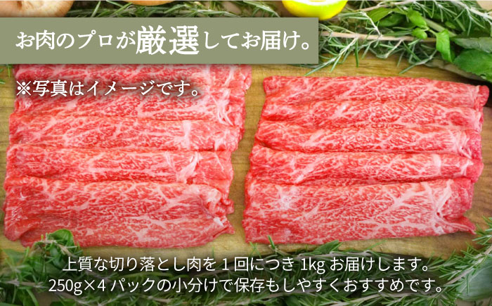 【牧場直送】【3回定期便】佐賀県産和牛 至福の切り落とし 1000g（250g×4パック）【有限会社佐賀セントラル牧場】 [IAH094]