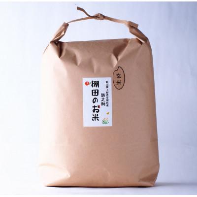 ふるさと納税 上越市 【毎月定期便】雪むろ棚田米-新之助5kg(5kg×1袋)玄米-新潟県上越市安塚区産-全6回 |  | 01