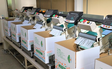 【2025年10月下旬より順次発送】三ヶ日みかん(極早生5kg)光センサー選果 デザート 食後 おやつ こだわりマルチ栽培 糖度 10.5 以上 箱詰め 混載 濃厚 冬の味覚 静岡県産 産地直送 ビタ