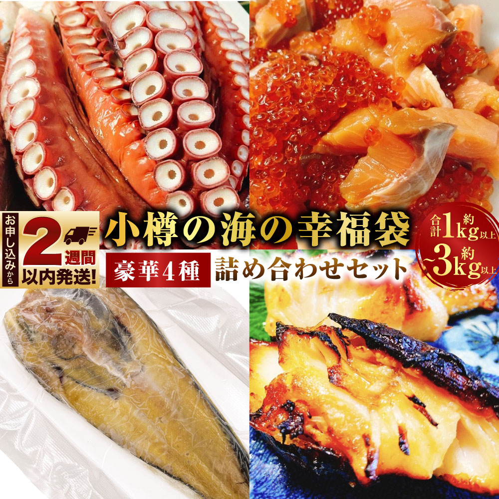 【ふるさと納税】＜選べる内容量＞小樽の海の幸福袋 豪華4種 詰め合わせセット 計1kg以上 / 計2kg以上 / 計3kg以上 水だこ刺身・自家製 ルイベ 醤油漬け・銀鱈の西京味噌漬け・八角の西京味噌漬け 魚介類 水産物 惣菜 おかず 冷凍 送料無料 【14営業日以内に発送】