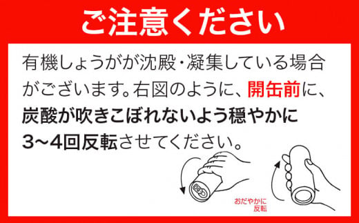 【11ヶ月定期便】 ジンジャーエール 250ml×30缶 光食品株式会社 定期 計11回お届け 《お申込み月の翌月から出荷開始》 徳島県 上板町 ジュース 炭酸水 光食品 ジンジャーエール オーガニッ