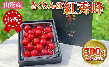 さくらんぼ 「紅秀峰」 300g 特秀品 2Lサイズ以上 山形産【令和8年産先行予約】 FS24-038 くだもの 果物 フルーツ 山形 山形県 山形市 2026年産