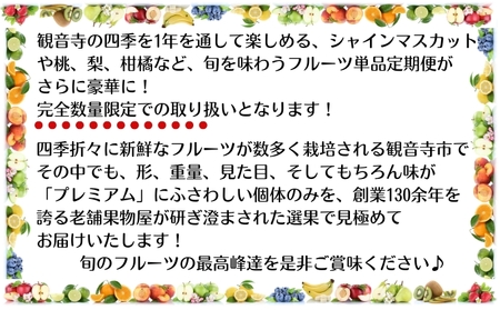 フルーツ定期便 プレミアム等級 苺 葡萄 桃 梨 柿 フルーツ定期便【12ヶ月連続】