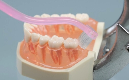 【ふるさと納税】奥歯掃除用歯ブラシ クリアデント バックフィット 4本セット｜奥歯の裏まで届く 専用設計 歯垢除去 二段グリップ 歯周ケア 虫歯予防 オーラルケア 歯ブラシセット デンタルケア 大人用