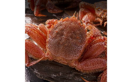 北海道産毛ガニ1尾 650g前後_05581