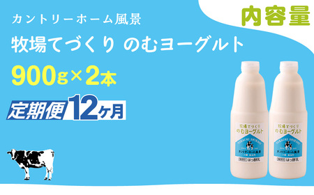【定期12ヶ月】のむヨーグルト 900g ×2 SKB034