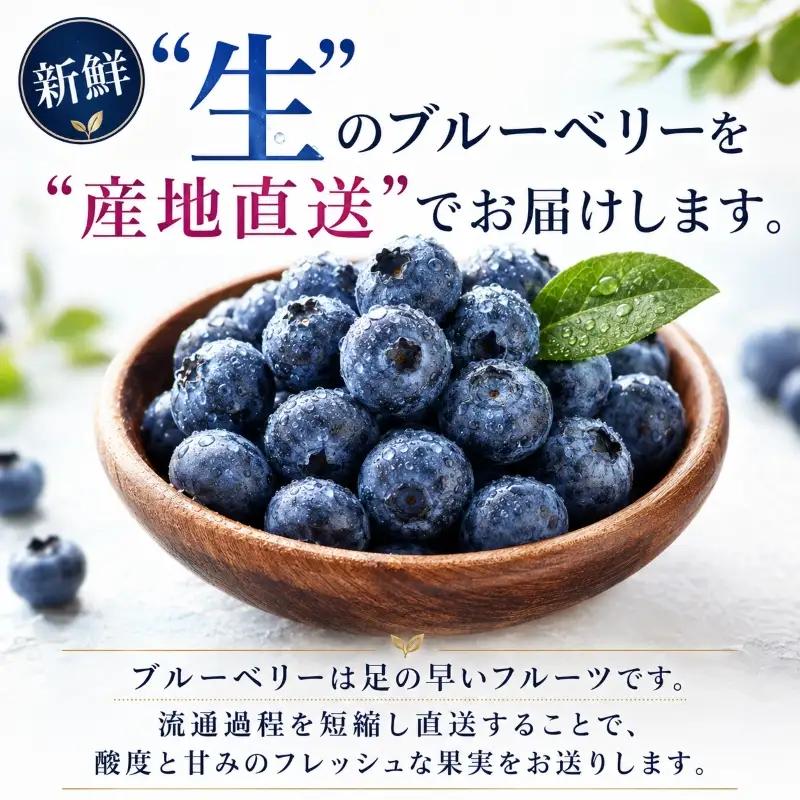 ブルーベリー 3Lサイズ 150g×5 大粒 生ブルーベリー 藤与果樹園 fujiyoB003