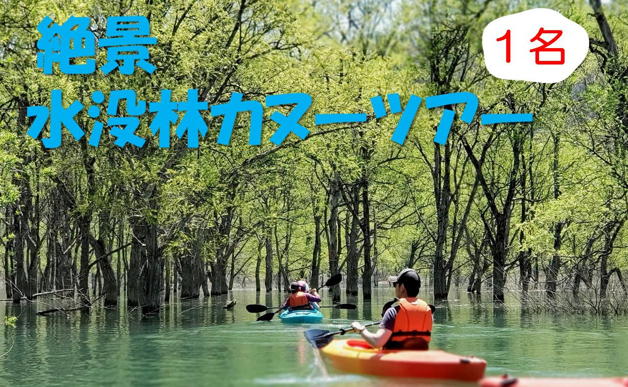
            絶景 水没林カヌーツアー（1名様）※3月下旬から5月下旬　
          