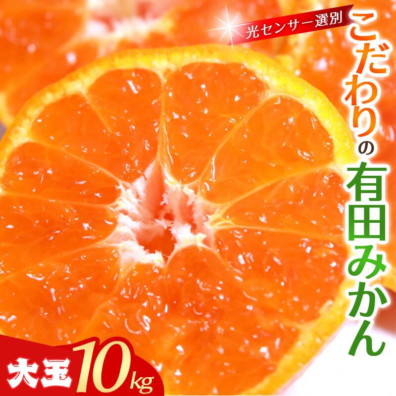 【ふるさと納税】 みかん 10kg 大玉 3L以上 こだわりの有田みかん ※11月中旬〜1月中旬頃に順次発送 / 蜜柑 柑橘 果物 くだもの フルーツ 人気 旬 10,000円 甘い 農家直送 有機質肥料100%光センサー 和歌山県 串本町 送料無料