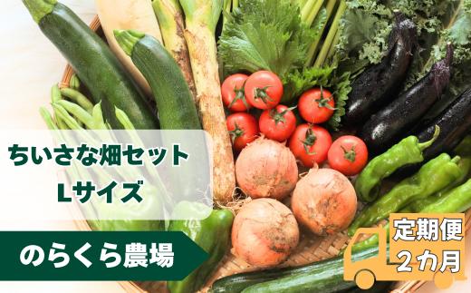 定期便2カ月　ちいさな畑セット（Lサイズ　３～４人前）（NK-T505）