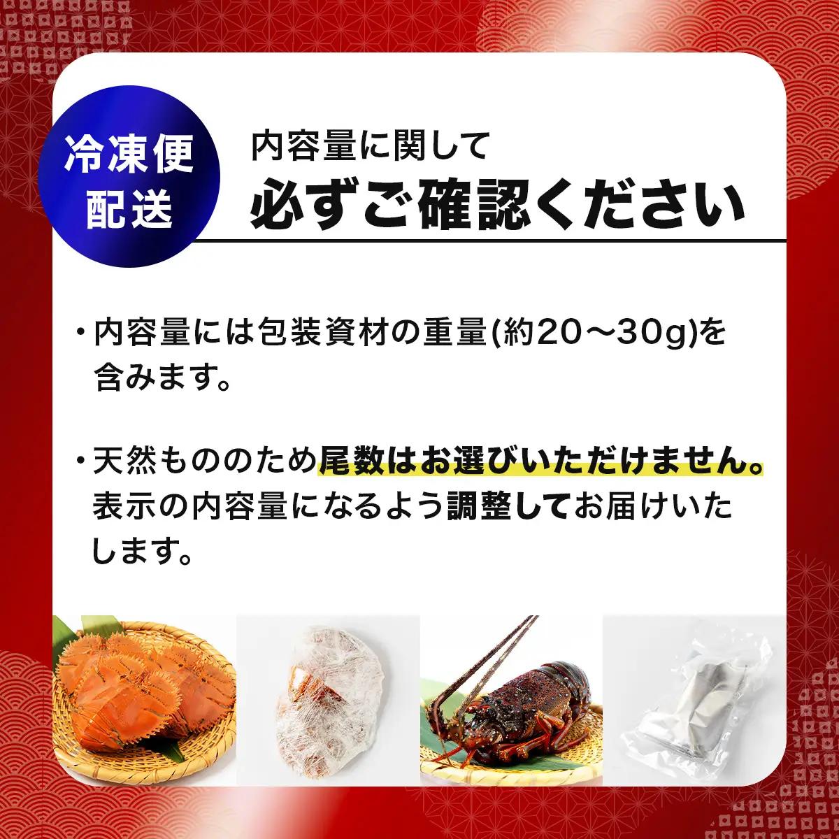 活〆ウチワエビ 500g(3～5尾)
