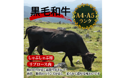 【定期便12回】土佐 黒毛 和牛  しゃぶしゃぶ用 計9.6kg（800g×12ヶ月連続お届け)4Dコース| 特撰 リブロース肉 最上位等級 A4 A5 最高ランク 贅沢 しゃぶしゃぶ 鍋 スライス 
