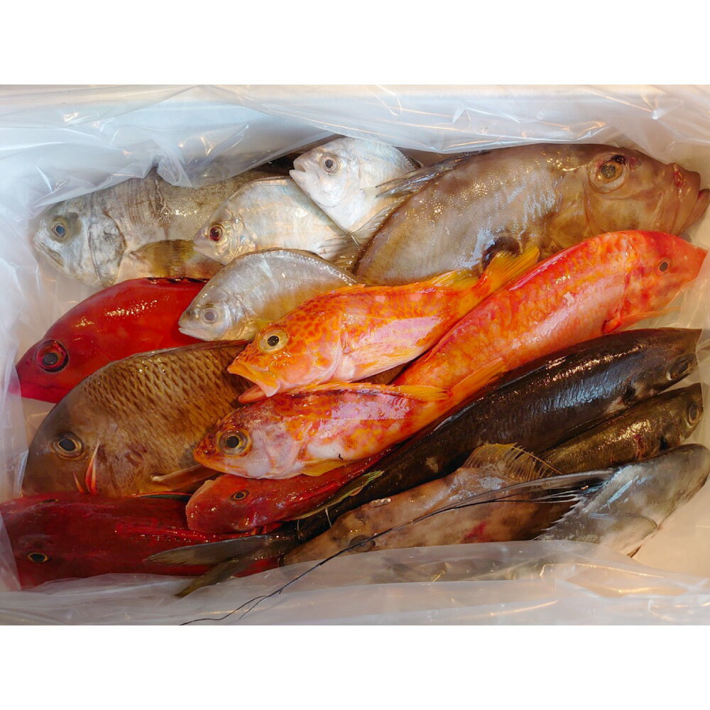 【ふるさと納税】長崎漁港発!長崎近海産鮮魚お試しセット（ミニ） 詰め合わせ 旬 さかな サカナ 魚介類 地魚 鮮魚 水産物 漁港直送 冷蔵 長崎県産 国産 九州 長崎県 長崎市 送料無料 【2025年9月下旬～12月下旬迄発送予定】