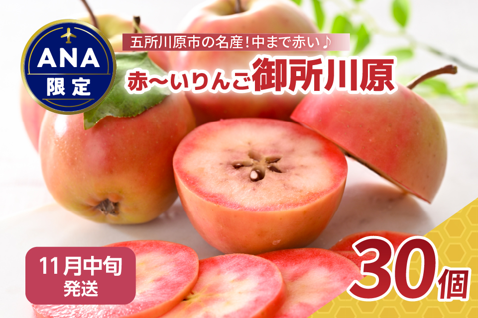 【ＡＮＡ限定】【 11月 中旬】 りんご レア品種 御所川原 約3.5kg（30個） 青森 五所川原【 リンゴ 林檎 果物 フルーツ 】