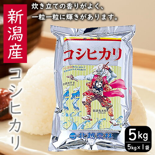 【ふるさと納税】こしひかり 新潟産コシヒカリ 5kg 米 お米 こめ コメ ごはん 新潟 米 白米 コシヒカリ ブランド米 銘柄米 お取り寄せ 産地直送 　お届け：入金確認後、約2週間～1ヶ月でお届け