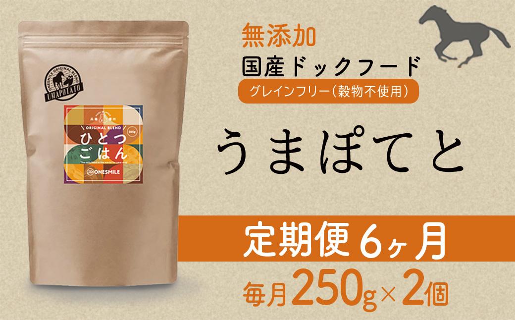 【定期便6か月】愛犬ごはん【ひとつごはん】うまぽてと500g 250g×2 無添加 馬肉 厳選素材 ドッグフード