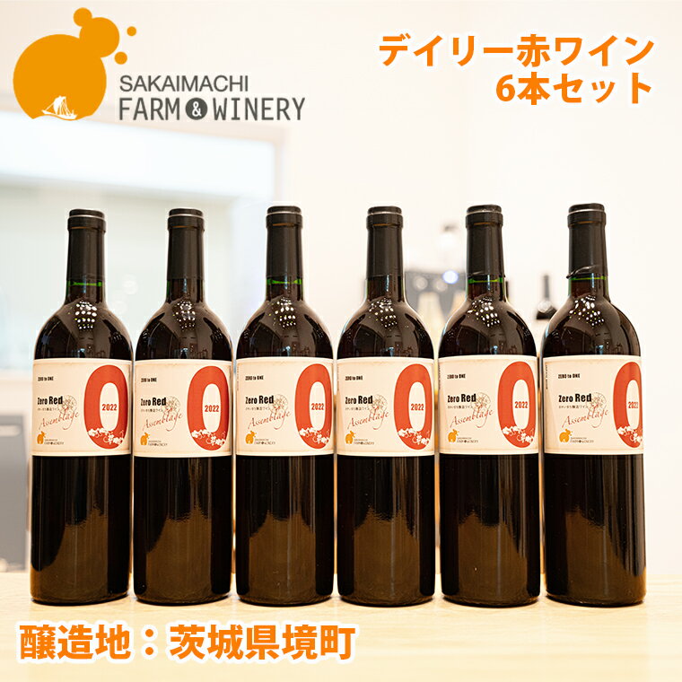 【ふるさと納税】 ワイン 洋酒 赤ワイン【デイリー 赤ワイン 6本セット】 750ml×6本 さかいまちワイナリー 母の日 父の日 ギフト 記念日 ご褒美 赤ワイン 境町