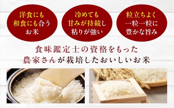 お米とシェフのカレー少量セット 米1.5kg・カレー3袋