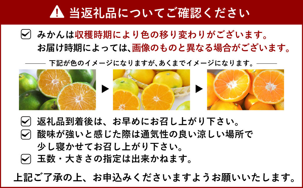 山口さん家の尾崎みかん 約5kg 【12月上旬から12月下旬発送予定】