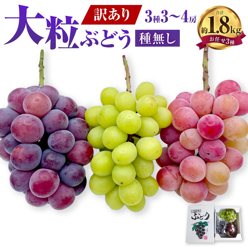 【ふるさと納税】訳あり 大粒 ぶどう 3種セット 3～4房 約1.8kg 3種おまかせ シャインマスカット ピオーネ クイーンニーナ オーロラブラック 等 種なし フルーツ 詰め合わせ ご家庭用 岡山県 送料無料【2026年10月上旬から12月下旬頃迄発送予定】