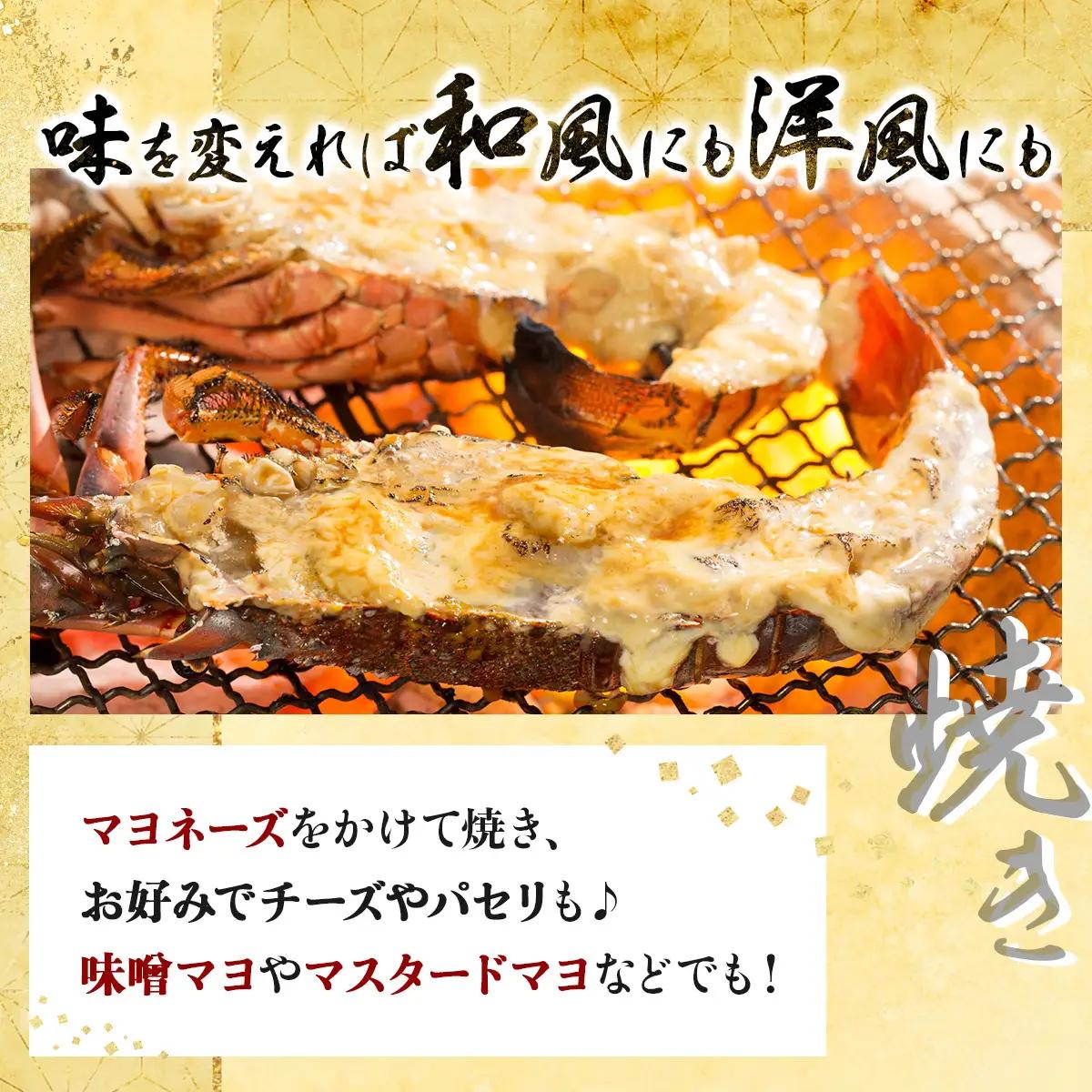 活き 伊勢海老 2～5尾 1kg 伊勢海老
