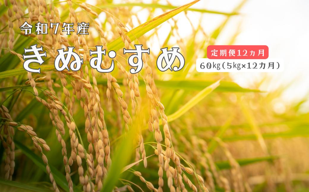 
                  150263【令和7年産／お米定期便／12ヵ月】しまね川本 きぬむすめ 5kg (計60kg）
                