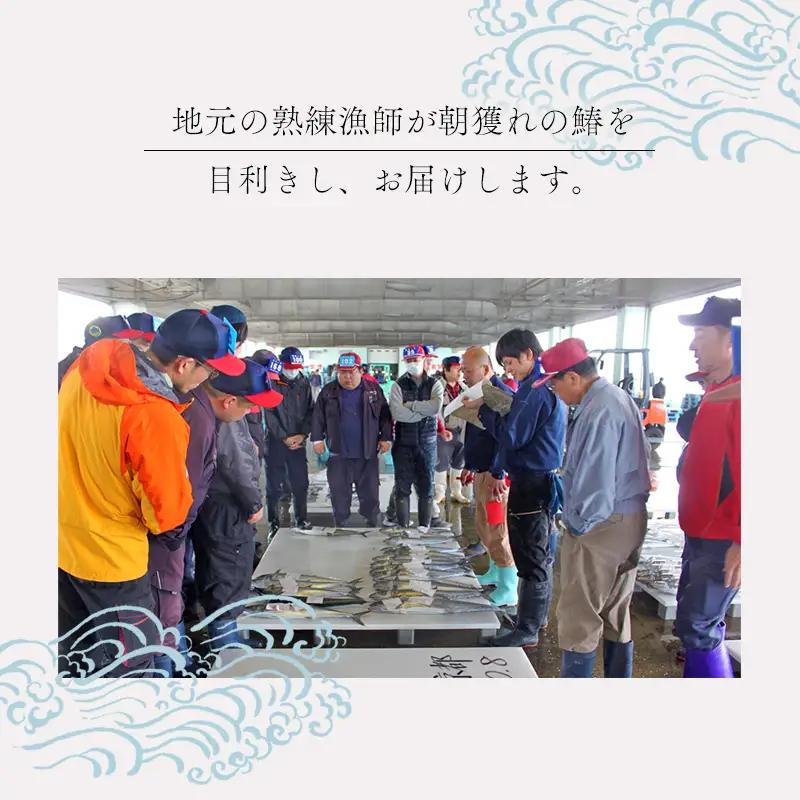 漁連直送！！ 京鰆 1.5kg以上 一尾 ： 鮮魚 寒さわら